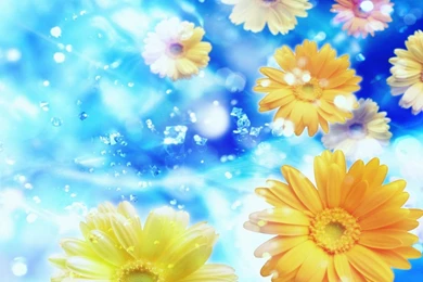 Beautiful Backgrounds Wallpapers Cave