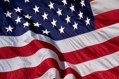 Miscellaneous: Patriotic And Proud United States Flag, Picture Nr ...
