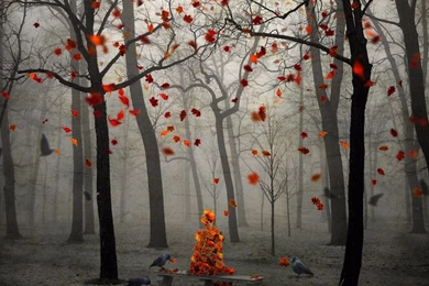 Samsung Large screen Android Mobile Phone Wallpaper 16_New Mobile ...