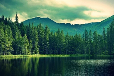 Mountain Green Forest Deep Sea Wallpapers