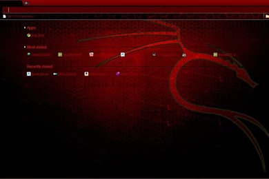 Backtrack Google Chrome Theme By Strychnine8301 On DeviantArt