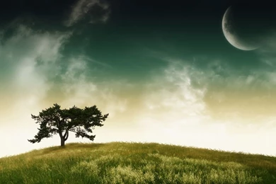 Wallpapers Simple Nature By A_Layl Customize.org