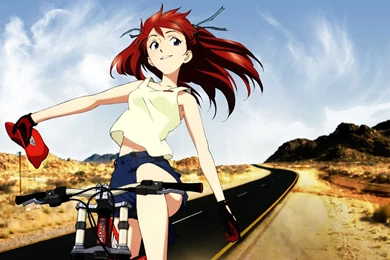 Souryuu Asuka Langley, Wallpapers