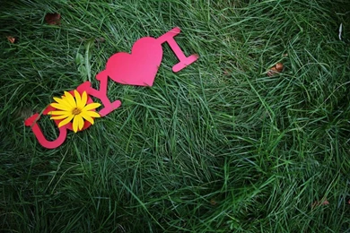 Hd Images, Effects, Download Wallpapers, Colors, Apple Desktop ...