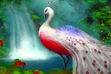 Hd Images, Download Wallpapers, Cool Artworks, Effects, Colors ...