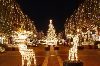 2015 New Christmas Wallpapers Pics, Photos, Images, Pictures ...