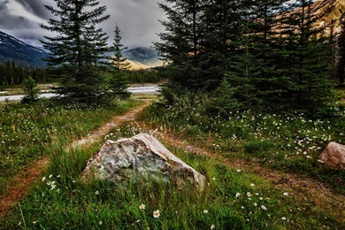 High Resolution Nature Wallpapers, Natural, Landscape, Amazing ...