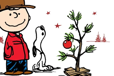 Peanuts: A Charlie Brown Christmas WarnerBros.com TV Season