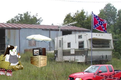 Wallpapers For Windows XP, Redneck's Paradise