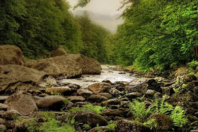 Gallery For Best Wallpapers 1920x1080 Nature