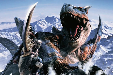 Monster Hunter Computer Wallpapers, Desktop Backgrounds ...