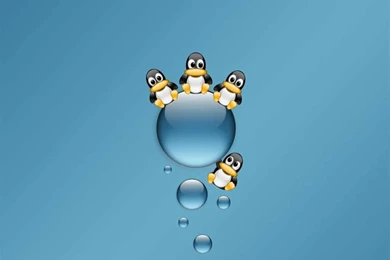 Wallpapers Jah Love Hd Linux Taringa 1280x960