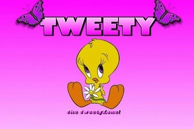 Tweety Bird Backgrounds Wallpapers Cave