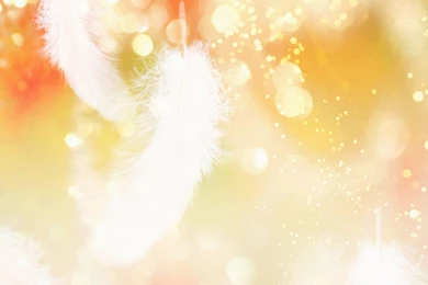 Backgrounds Design, Rainbow Dots