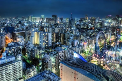 Wallpapers Tokyo Wallpapers Animal Hd