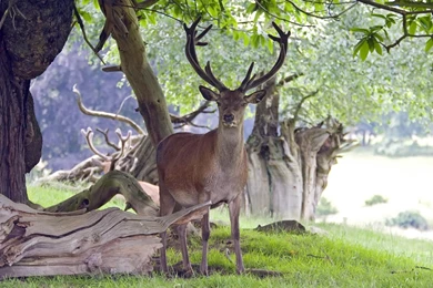 Widescreen, Wallpapers, National, Park, Top, Desktop, Backgrounds ...