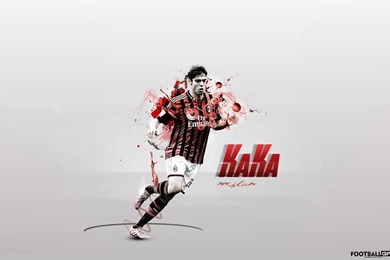 Kaka Wallpapers Wallpapers Cave