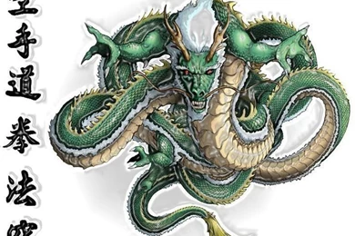 Dragons On Pinterest