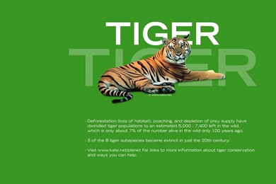 Kate.net Planet Green, Environmental, And Wildlife Wallpapers