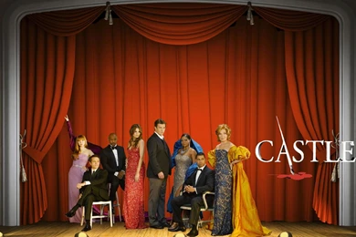 Castle Tv Series (id: 17459) – BUZZERG