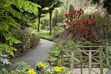 CLOUDS MOUNTAINS DARK