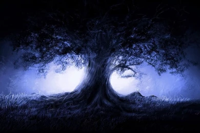 Tree In The Night Gothic Wallpapers HD And Backgrounds