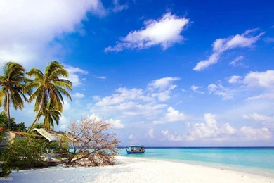 Free Wallpapers Download For Desktop HD Wallpapers Lovely