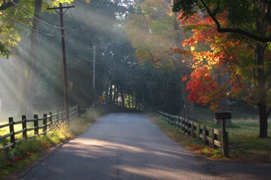 New Hd PC Wallpapers HD Wallpapers Pretty