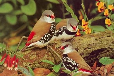 New Wallpapers Download HD Wallpapers Pretty