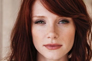 Pete Dragon' Reboot: Bryce Dallas Howard In Talks To Star