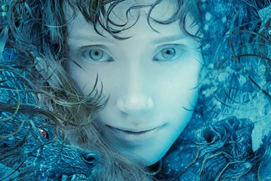 Blue Bryce Dallas Howard Lady In The Water