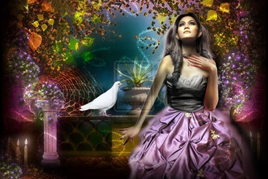 COLOMBANIA OF EMOTIONAL WALLPAPER (