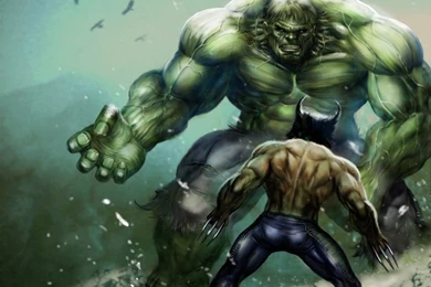 Hulk Vs Wolverine