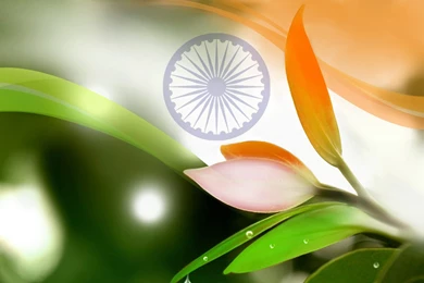 India Flag Wallpapers For Independence Day Download – Fluttering On ...