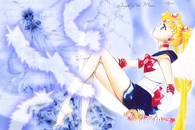 Sailor Moon Sailor Moon Wallpapers (8935276) Fanpop