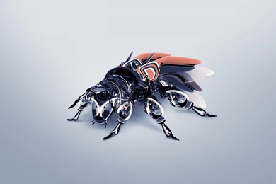 3D Fly Desktop HD Wallpaper.jpg