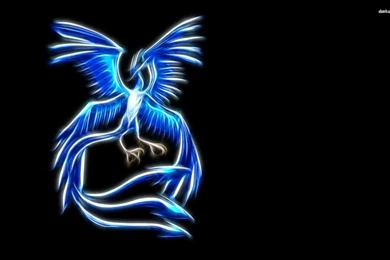 Articuno Pokemon Wallpapers Anime Wallpapers