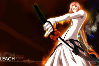 Paradoxparty Bleach Wallpapers Hd