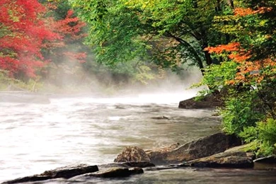 Wallpapers Rivers Kushwah 932x699