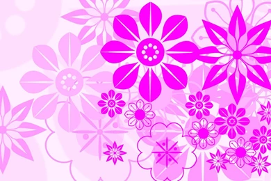 White Flowers Pink Wallpapers (
