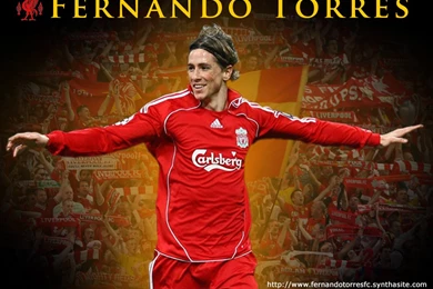 Fernando Torres Wallpapers