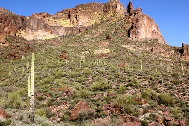 Sonoran Desert Keith ThingLink