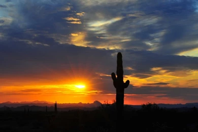 Sonora Desert Sunset By Flatsix911 On DeviantArt