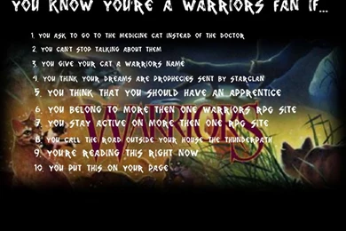 Wallpapers Warrior Warriors Jpg Cats 1024x768