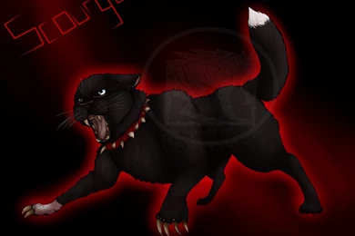 Warrior Cats Wallpapers Scourge