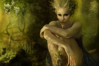 Fantasy fairy wallpaper backgrounds – Steph Photography