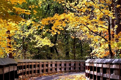 Free Wallpapers Scenery Wallpapers Cave