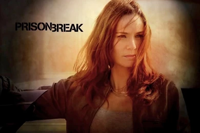 Prison Break!<3 Prison Break Wallpapers (8217050) Fanpop