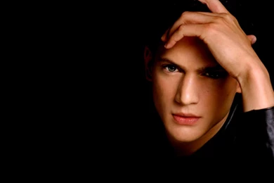 Prison Break Wallpapers And Images Wallpapers, Pictures, Photos