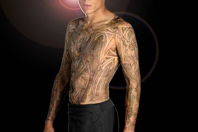 Tattoos Wentworth Miller Prison Break Michael Scofield Wallpapers ...